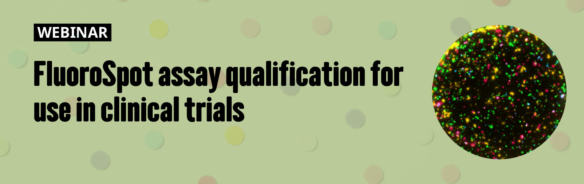 Fluorospot assay qualification for use in clinical trials